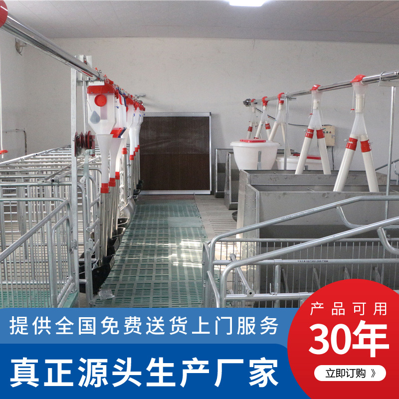 母豬產(chǎn)床